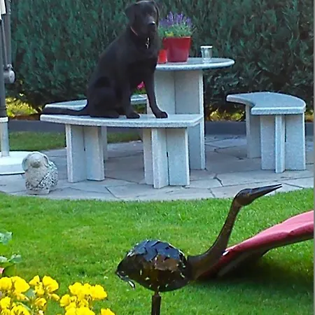 Schmitz 홈스테이 Anschau