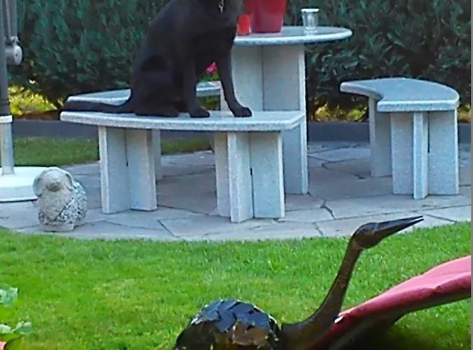 Schmitz בית אירוח Anschau